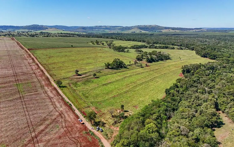 Imagem principal da notícia