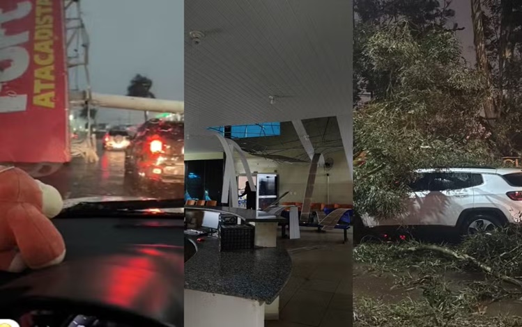Estragos causados pelo temporal em Campo Grande.