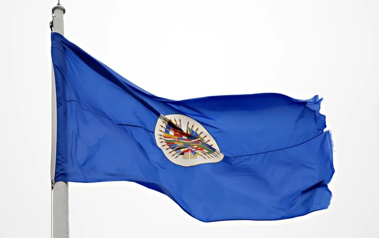 Bandeira da Organização dos Estados Americanos (OEA)